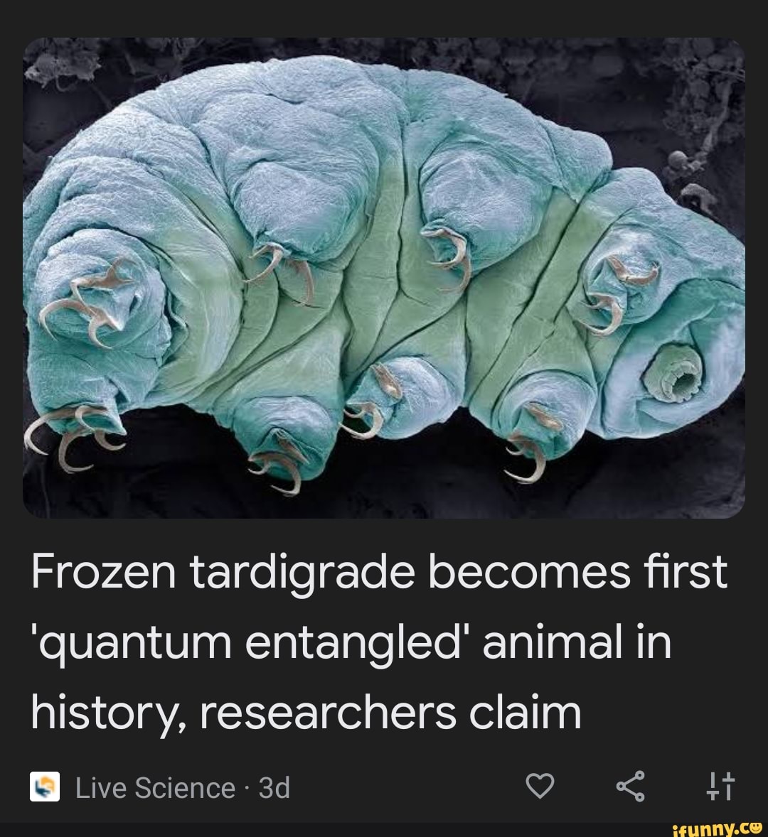 Frozen Tardigrade Becomes First Quantum Entangled Animal In History Researchers Claim