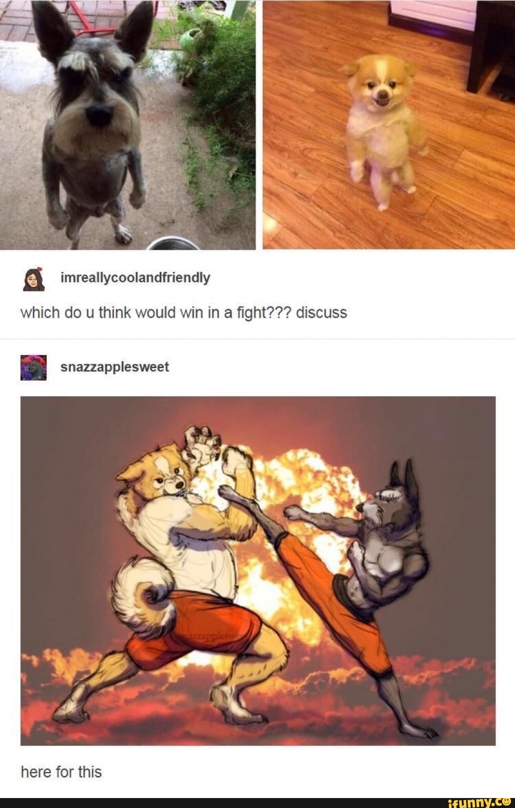 a imreallycoolandfriendly
which do u think would win in a fight??? discuss