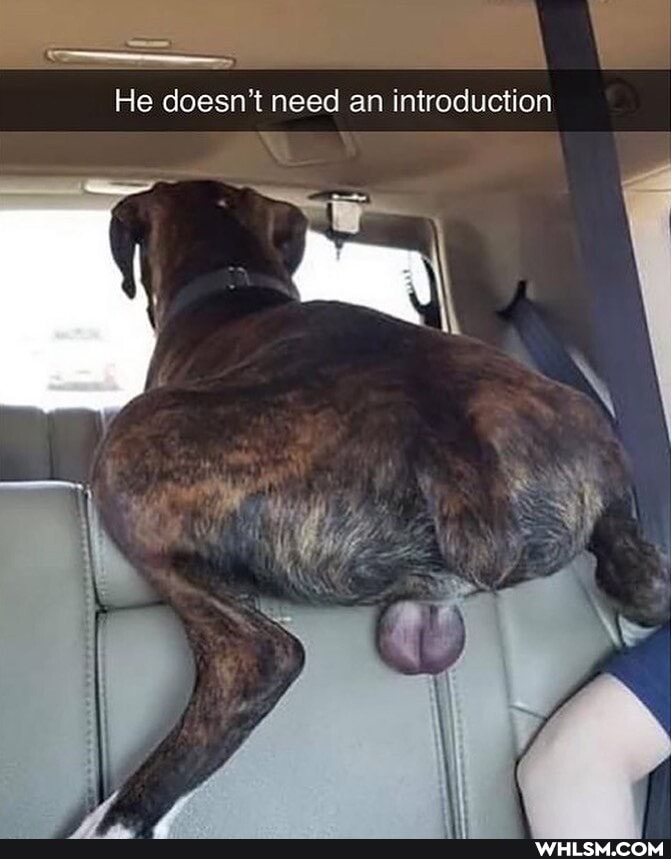 He doesn't need an introduction