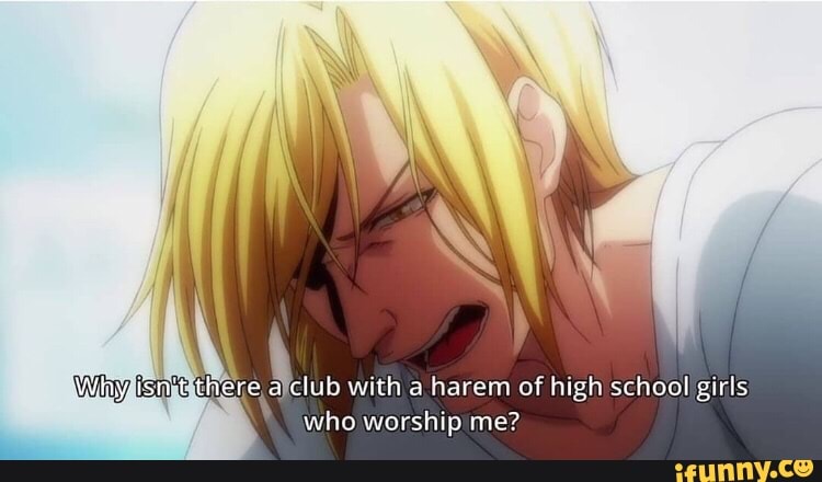 Why ise
with a harem of high school girls
who worship me?