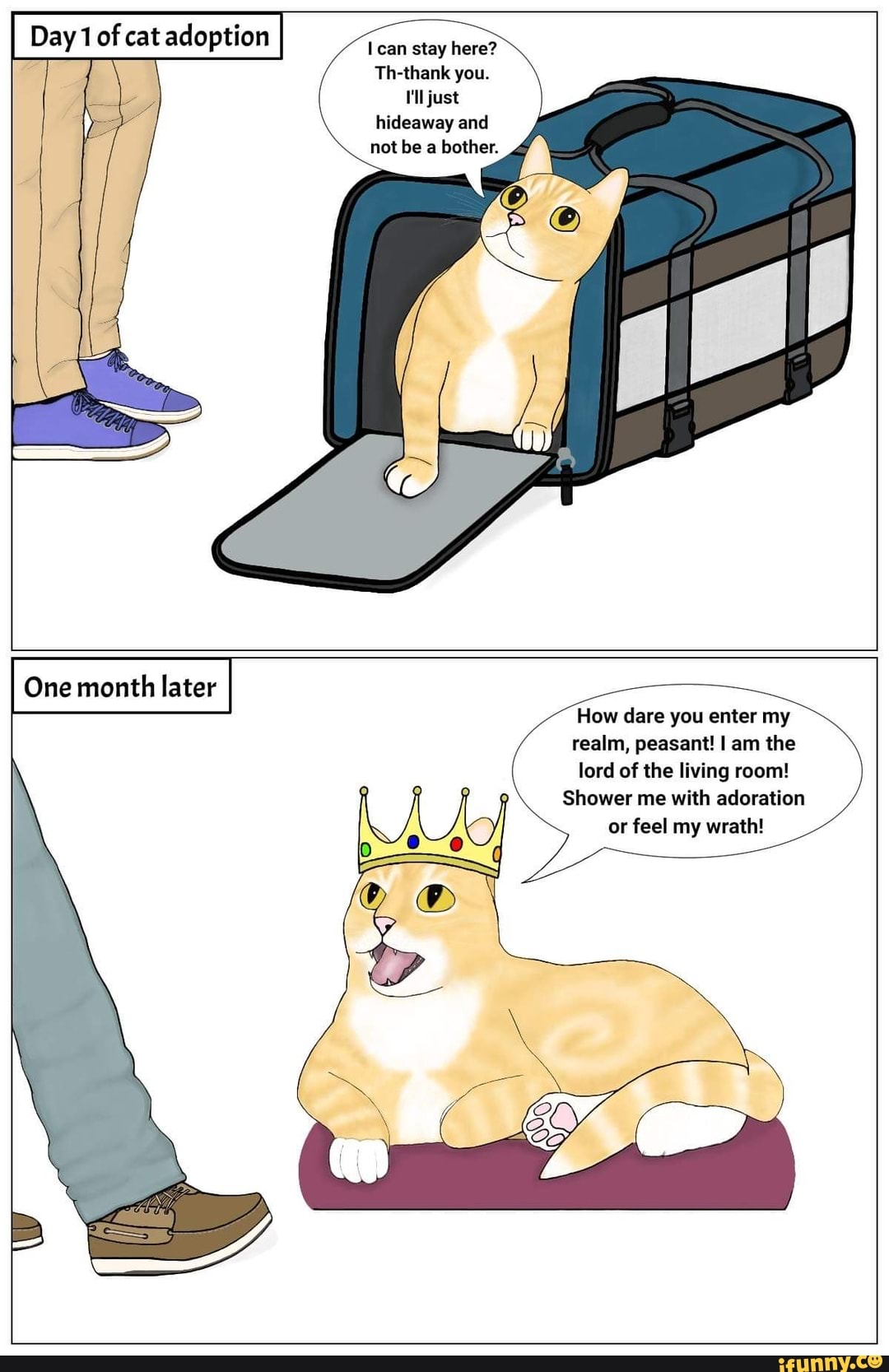 Day 1 of cat adoption
can stay here?
Th-thank you.
lil just hideaway and not be a bother.
One month later
How dare you enter my realm, peasant! am the lord of the living room!
Shower me with adoration or feel my wrath!