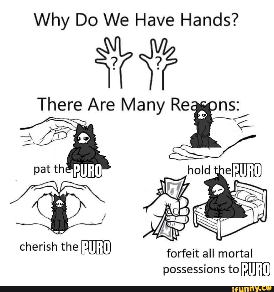 Why Do We Have Hands? There Are Many Reg Cherish The Forfeit All Mortal 