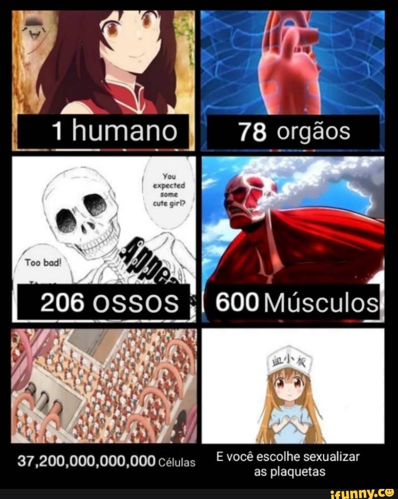 78, orgãos
human
es
206 ossos 600 Músculos)
Too bad!
37.200,000,000,000 células E você escolhe sexualizar as plaquetas