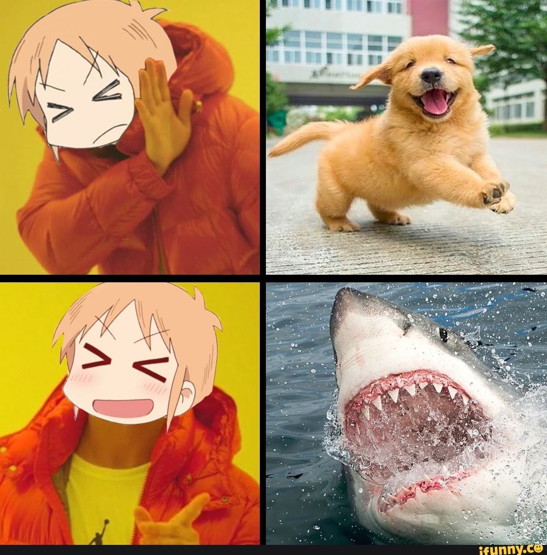 weeaboo, weeb, fun, depression, anxiety, nichijou, anime, animeme, animemes
