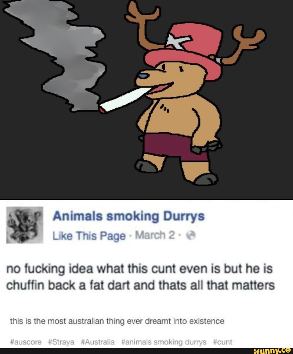 Animals smoking Durrys Like This Page M no fucking idea what this cunt even  is but