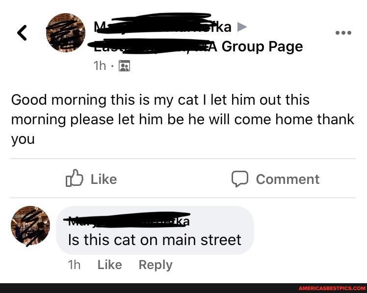 Group Page
Good morning this is my cat let him out this morning please let him be he will come home thank you
Like comment
Is this cat on main street
Like Reply