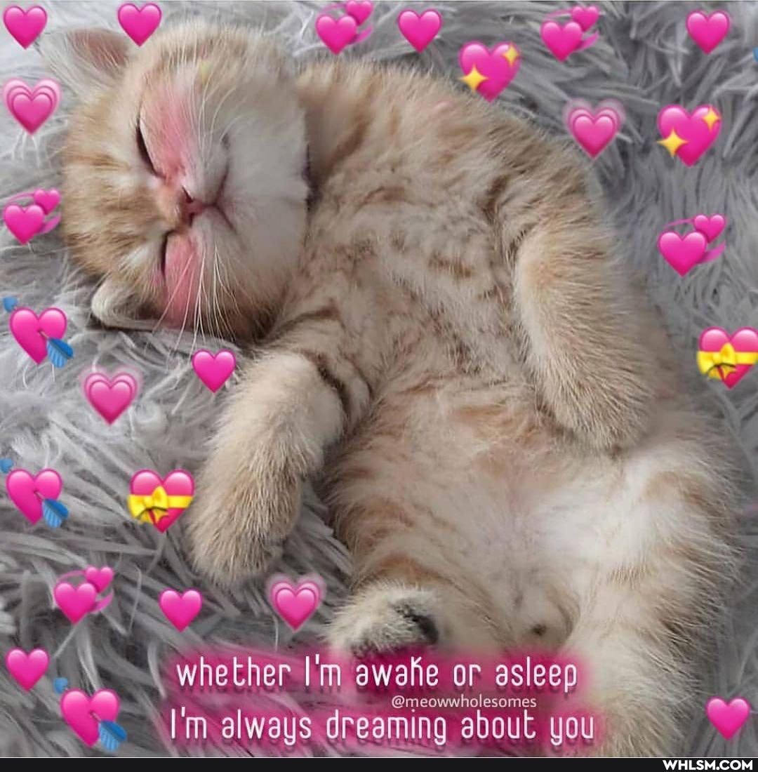 On
whether or asleep
@meowwholesames
I'm alwaus dreaming ing about you