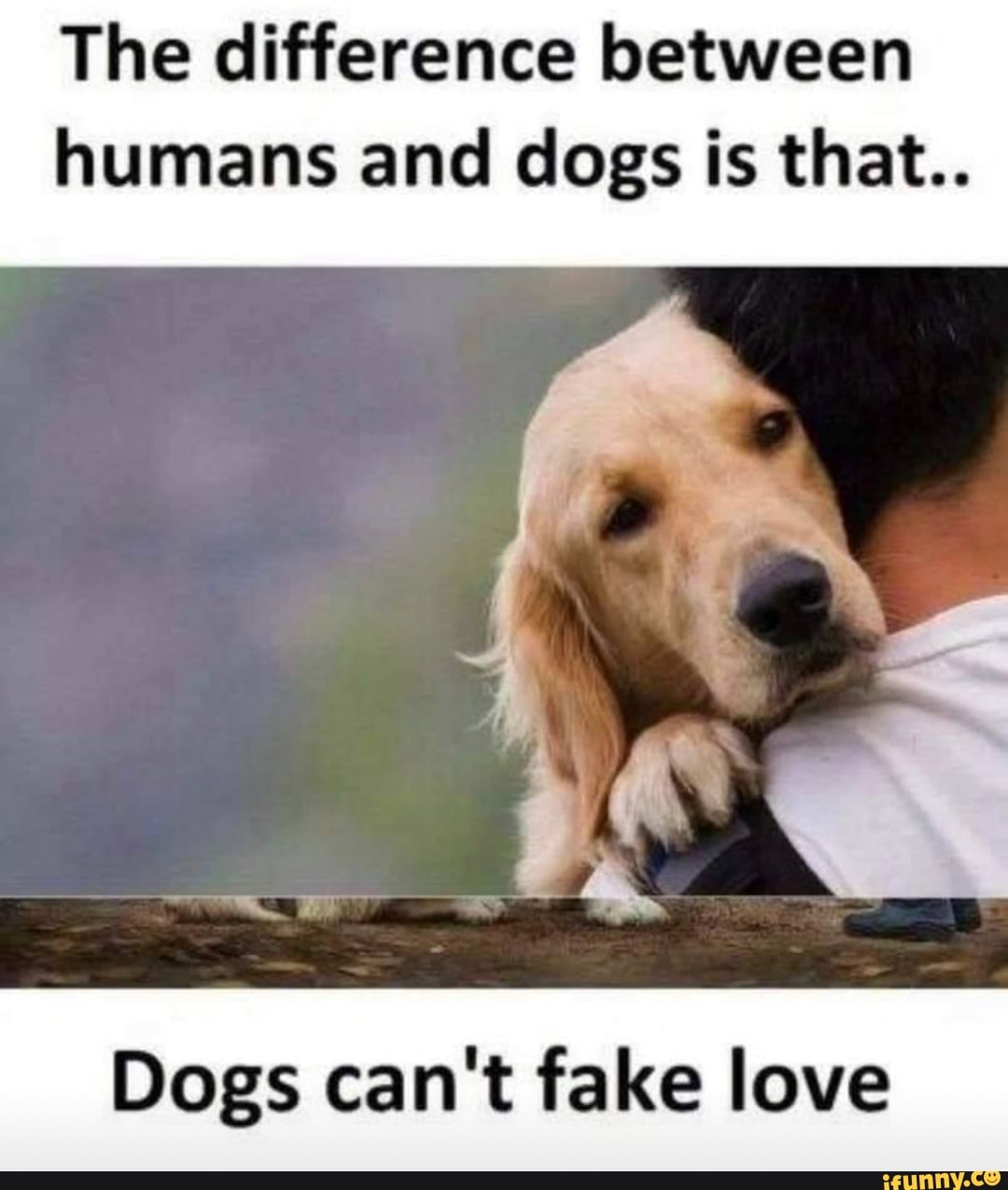 what is the difference between dogs and humans