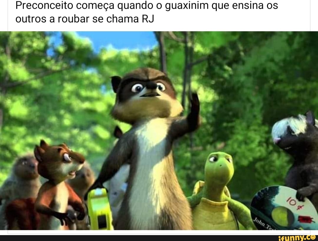 Preconceito começa quando o guaxinim que ensina os outros a roubar se chama RJ