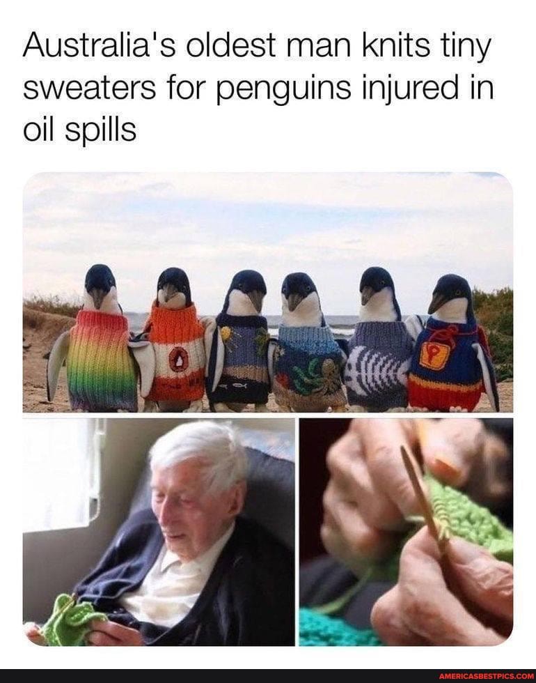 Australia's oldest man knits tiny sweaters for penguins injured in oil spills
