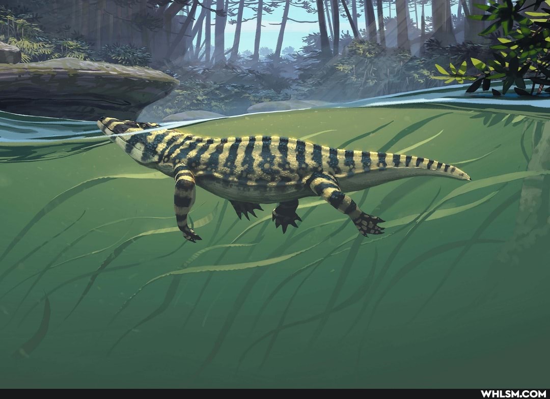 art, history, nature, dinosaurs