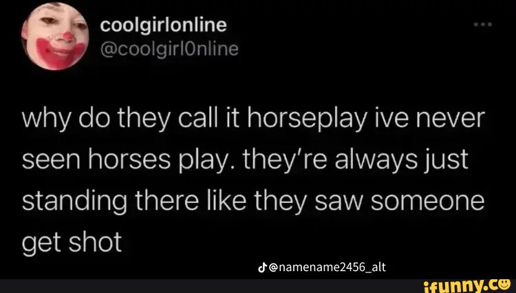 why-do-they-call-it-horseplay-ive-never-seen-horses-play-they-re