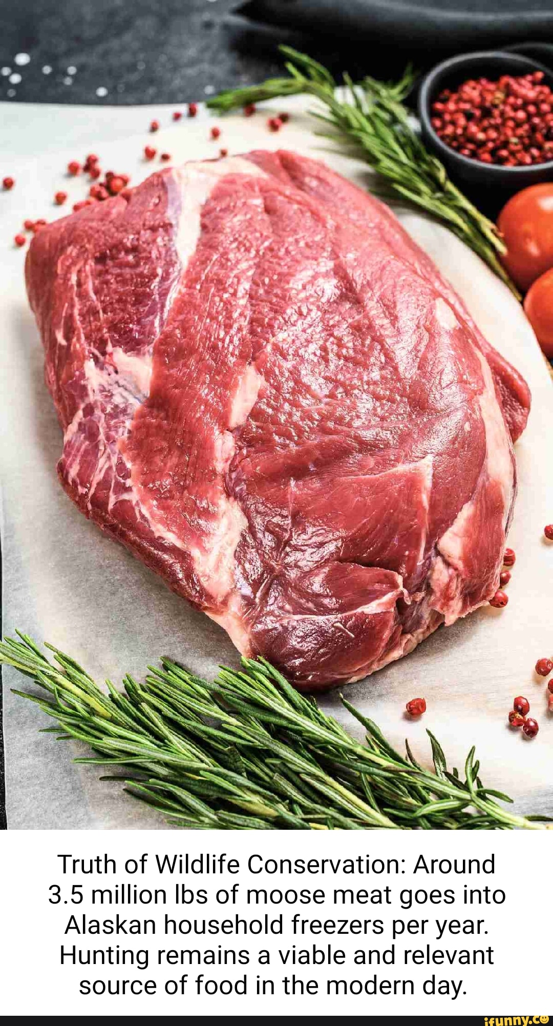 Truth of Wildlife Conservation: Around 3.5 million lbs of moose meat ...