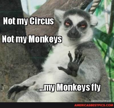Rot my Circus
Hot my Monkeys
~iny Monkeys fly