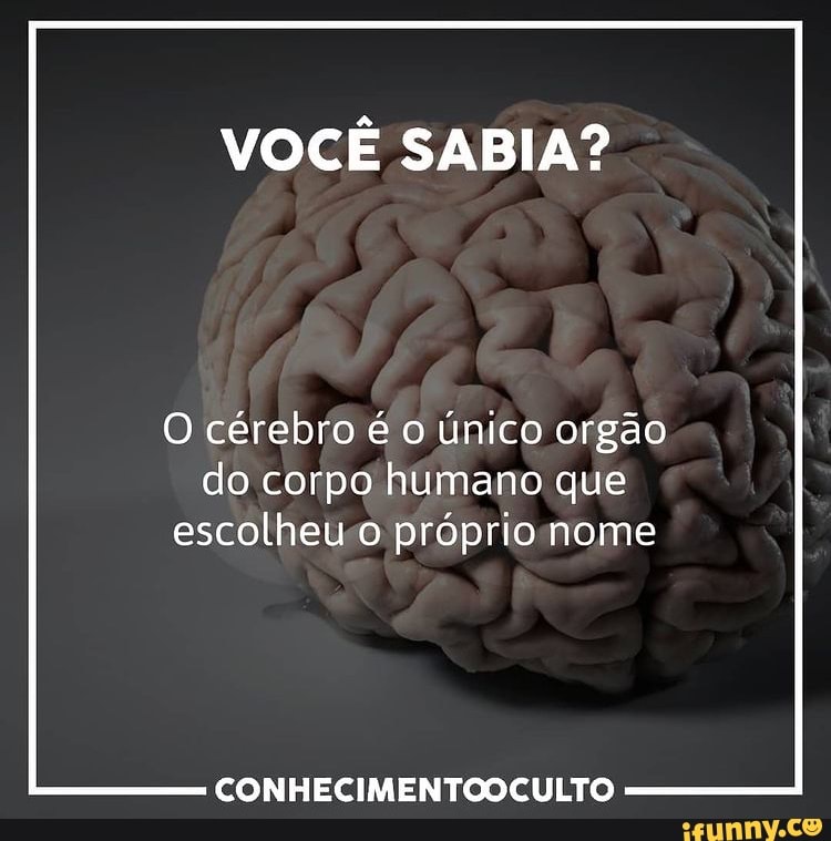VOCÊ SABIA? O cérebro é o único orgão do corpo humano que escolheu o ...
