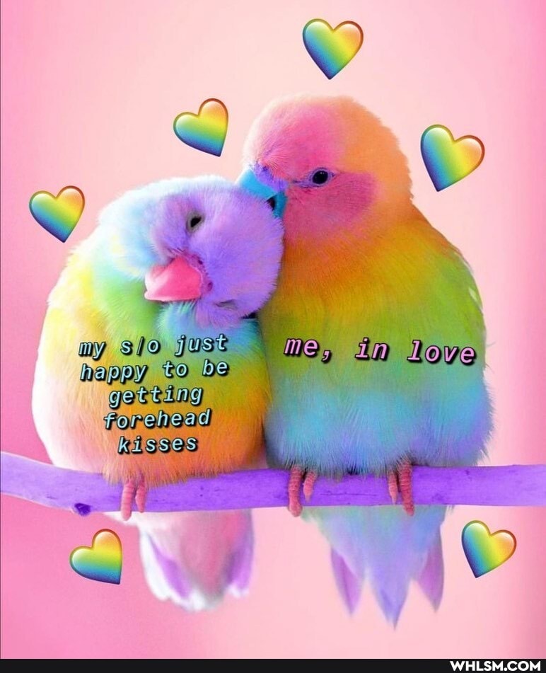 ay me \
I happy to LOVE I RESSOS