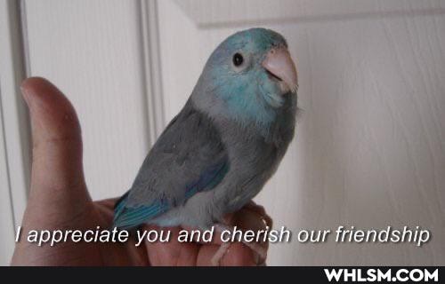 appreciate you and herigh our friendshi
