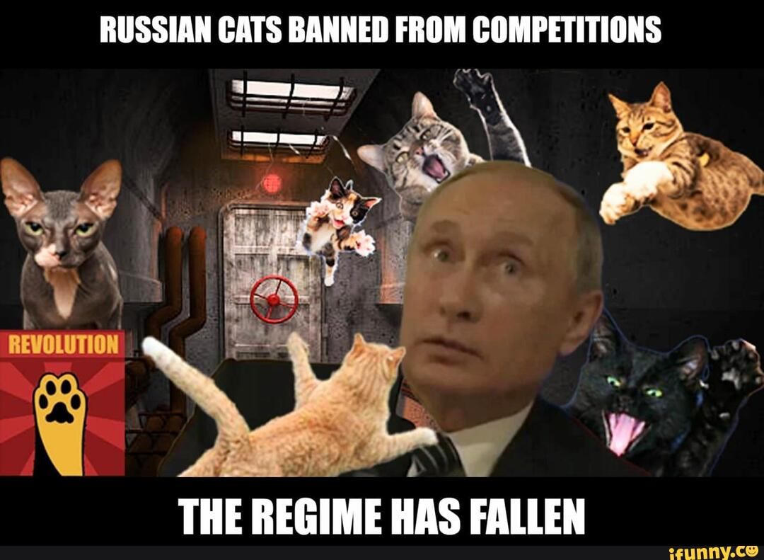 International Cat Federation bans Russian cats from competitions