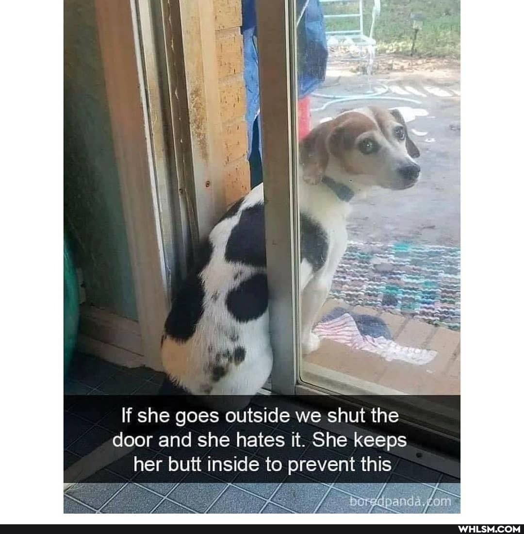 If she goes outside we shut the door and she hates it. She keeps her butt inside to prevent this