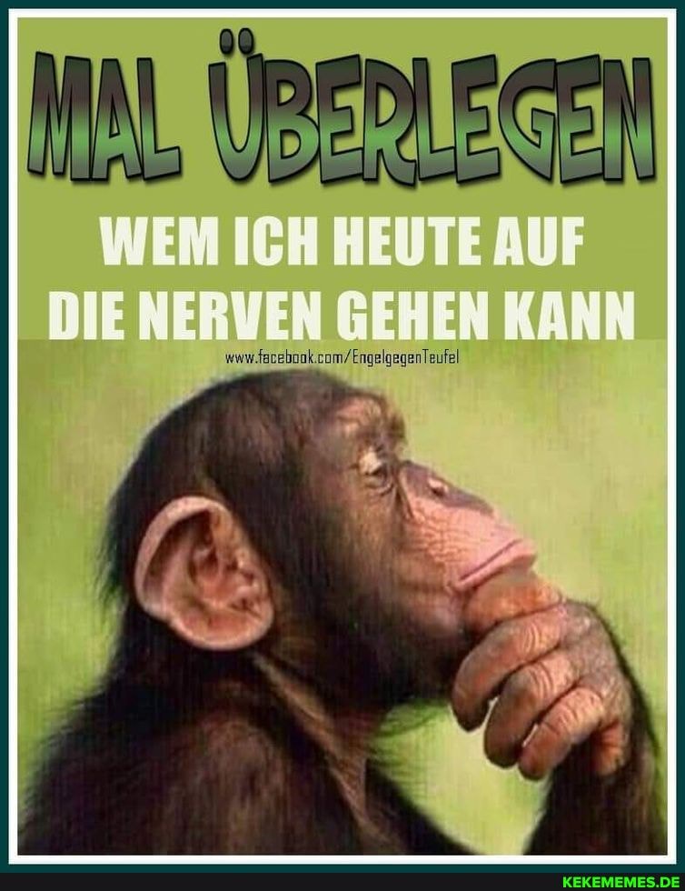 WEM ICH HEUTE AUF DIE NERVEN GEHEN KANN