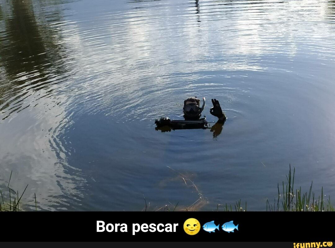 Bi
Bora pescar - Bora pescar 🌝🐟🐟