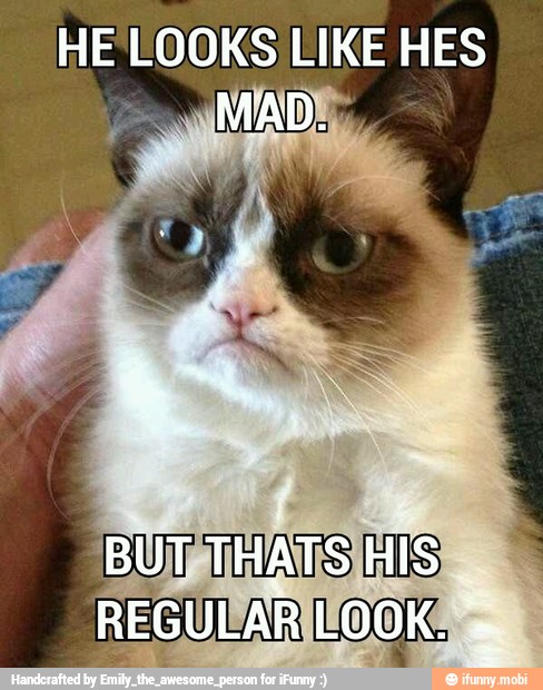 HE LOOKS LIKE HES
¿MAD
