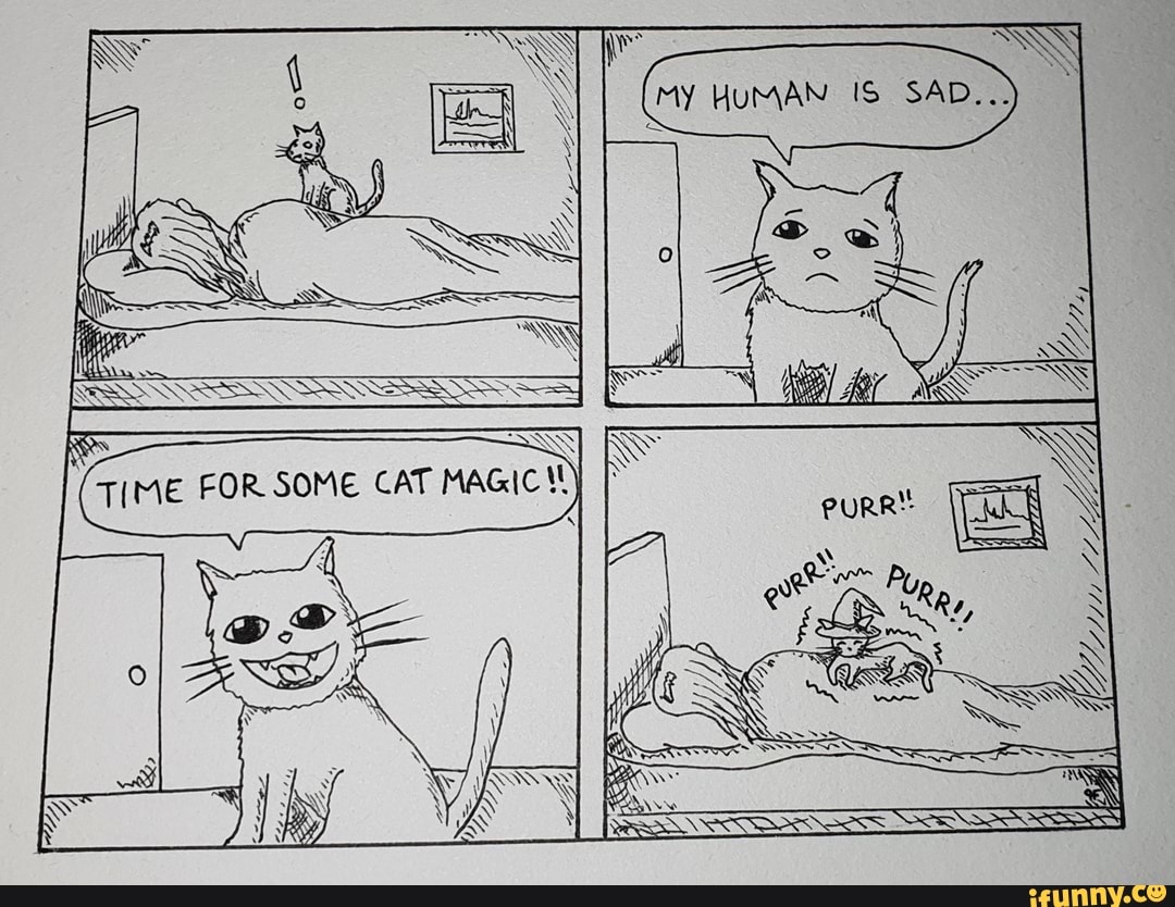 FIME FOR SOME CAT