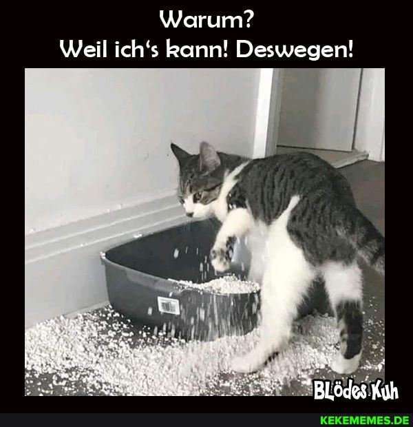 Warum?
Weil ich's kann! Deswegen!