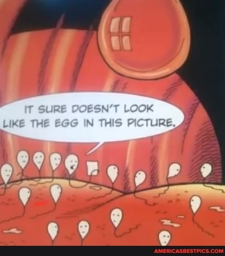 IT SURE DOESN'T LOOK LIKE THE EGG IN THIS PICTURE,