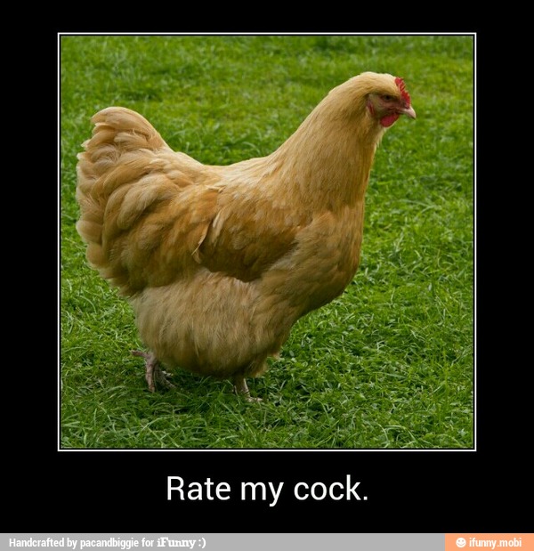 Cock rates