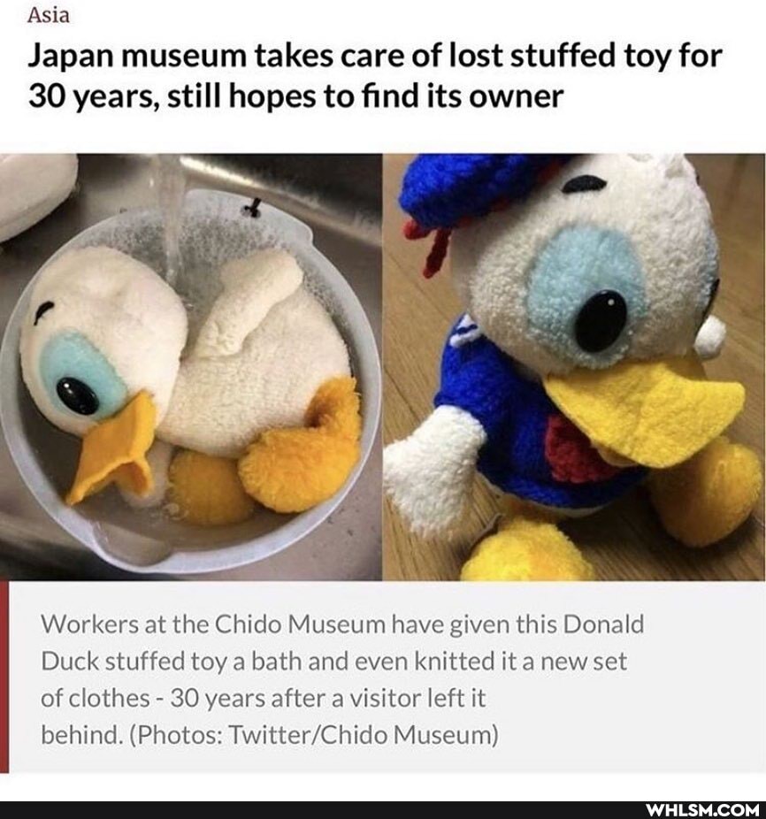 Asia
Japan museum takes care of lost stuffed toy for
30 years, still hopes to find its owner
Workers at the Chido Museum have given this Donald
Duck stuffed toy a bath and even knitted it new set of clothes - 30 years after a visitor left it
behind. (Photos: Museum)