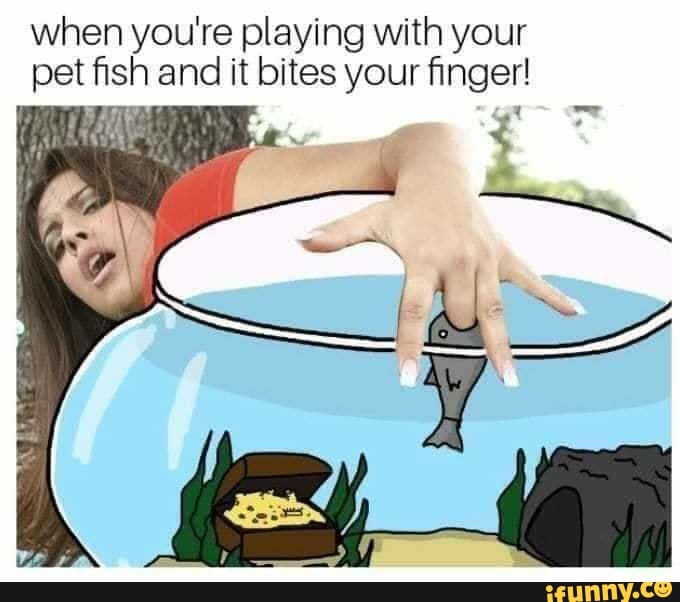 when you're playing with your pet fish and it bites your finger!