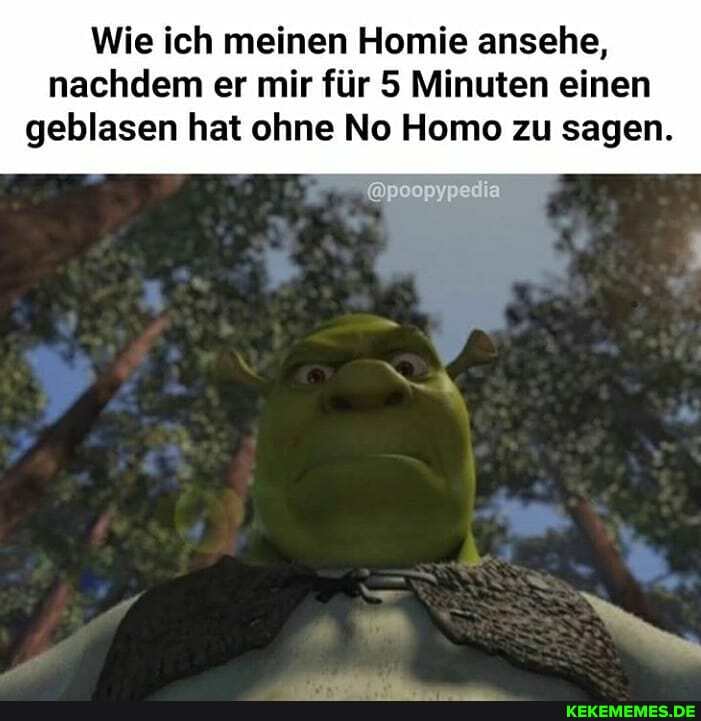 Wie ich meinen Homie ansehe, nachdem er mir für 5 Minuten einen
geblasen hat ohne No Homo zu sagen.
@poopypedia