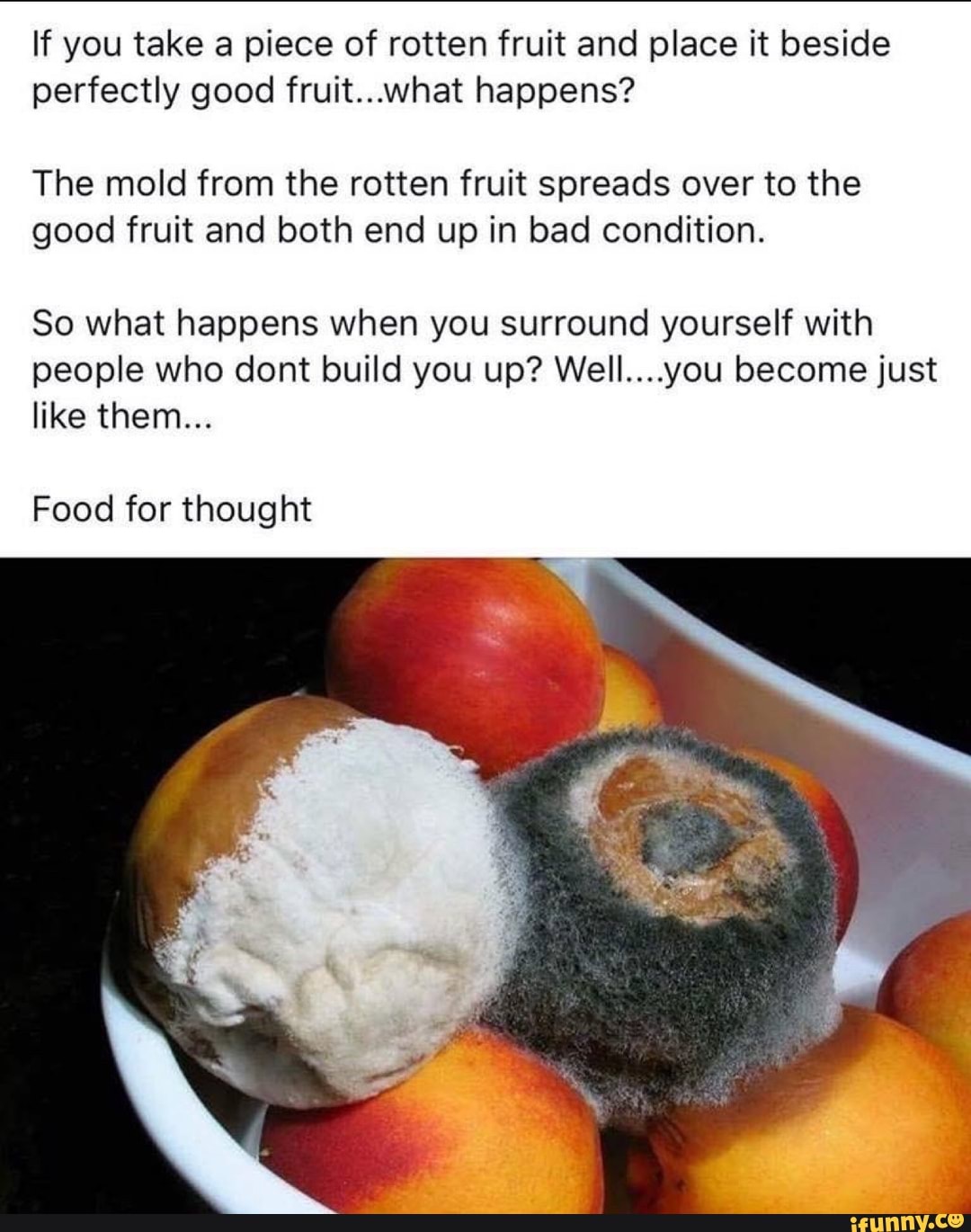If you take a piece of rotten fruit and place it beside perfectly good