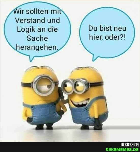 Wir sollten mi
Verstand und
Logik an die
Sache herangehen,
Du Bist neu
hier, oder?!