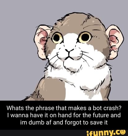 Whats the phrase that makes a bot crash? I wanna have it on hand for ...