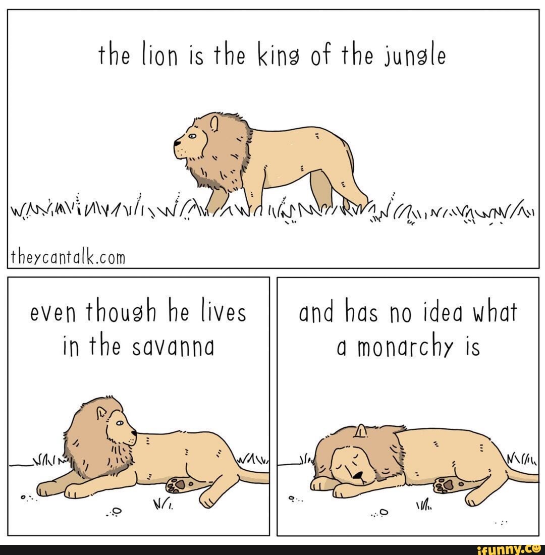 He can talk he can talk. Neither either so правило. Английский форвард 5. Текст симпсоны 5 класс. 5 класс английский 6 complete the sentences.