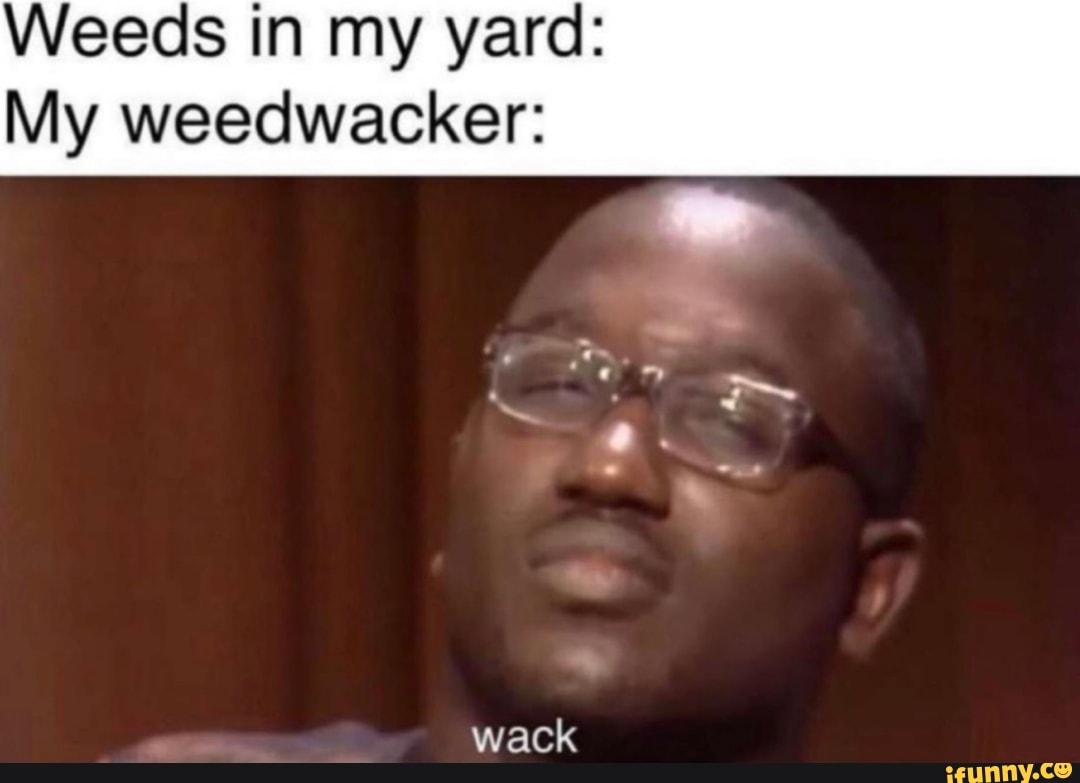 Weeds in my yard:
My weedwacker:
wack
