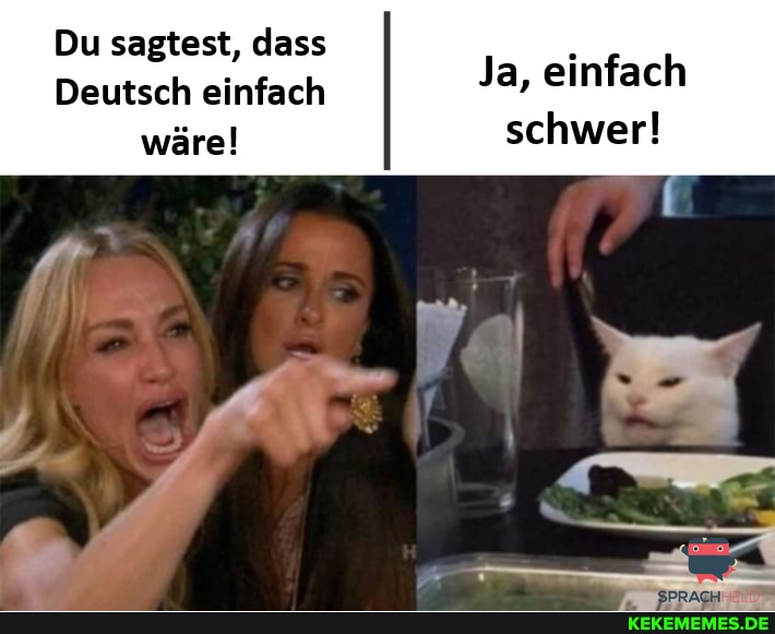 Du sagtest, dass
Deutsch einfach Ja, einfach
wäre! schwer!