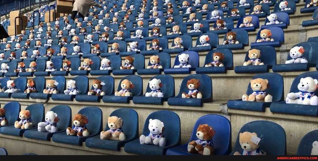 frisian, soccer, team, sc, heerenveen, teddybears, stands, match