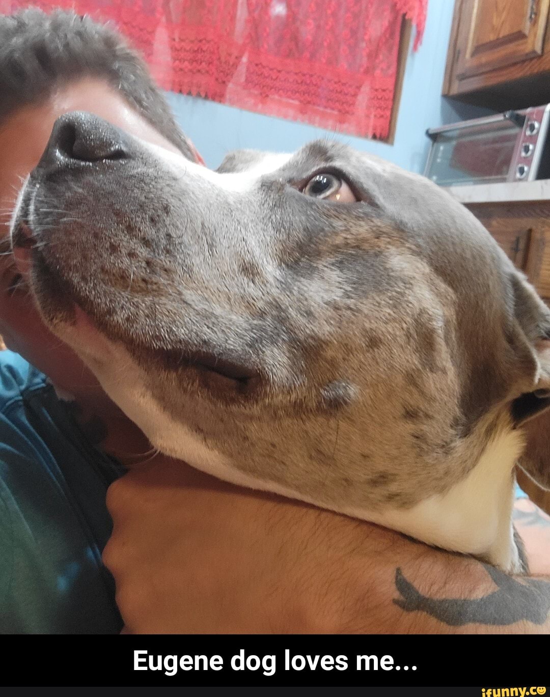 Eugene dog loves me... - Eugene dog loves me...