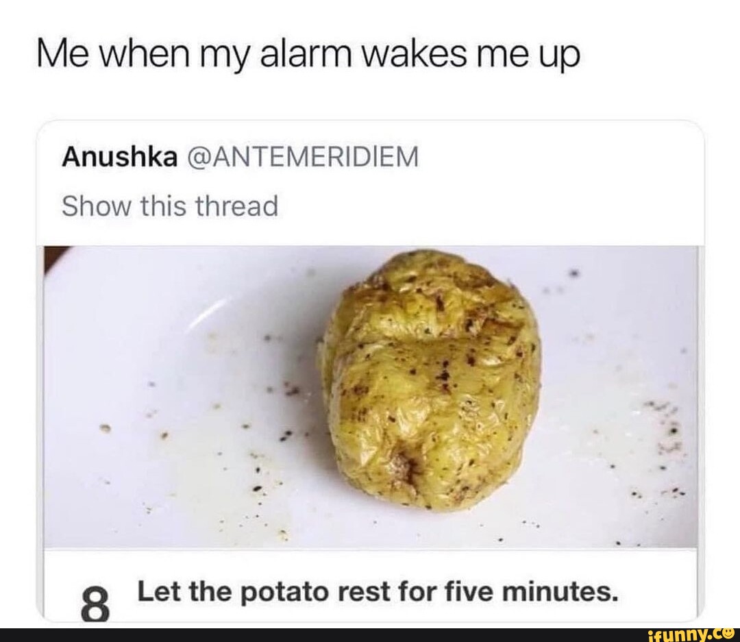 Me when my alarm wakes me up Anushka ANTEMERIDIEM Show this thread I Let the potato rest for