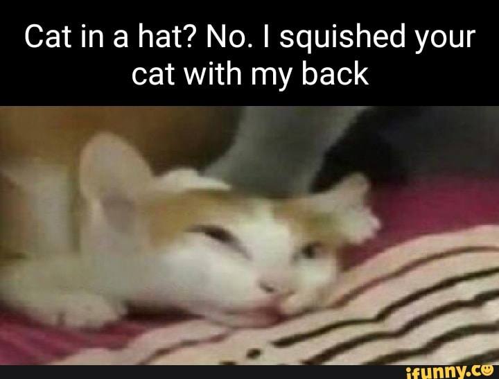 Squished memes. Best Collection of funny Squished pictures on iFunny