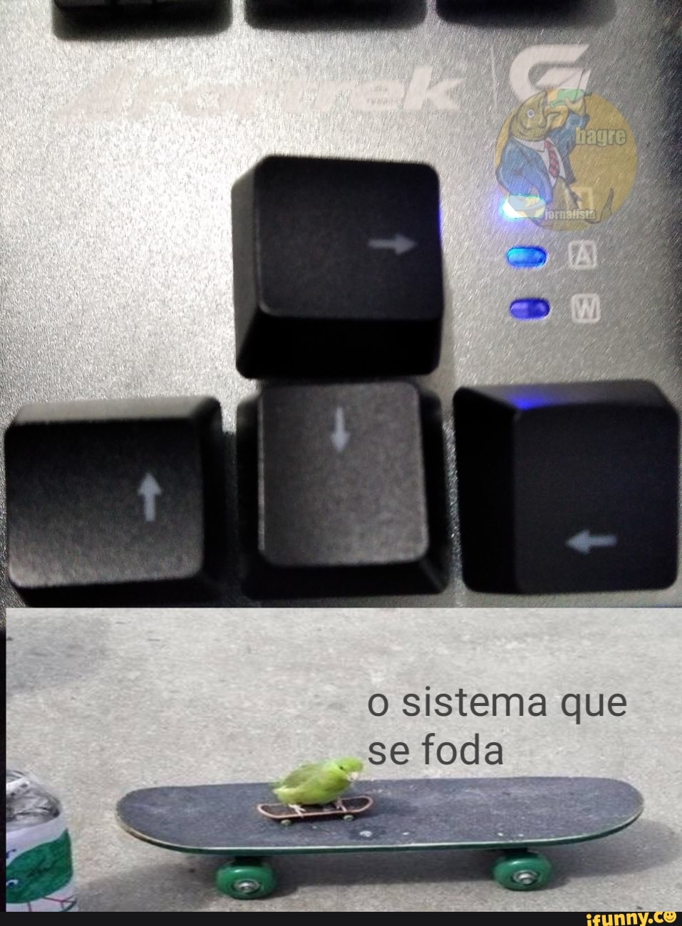 o sistema que
se foda
a Soa Tui