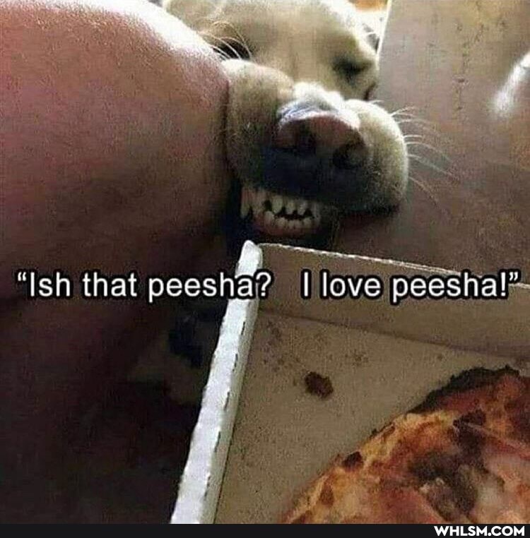 ks
'Ish that peesha? lave peesha!