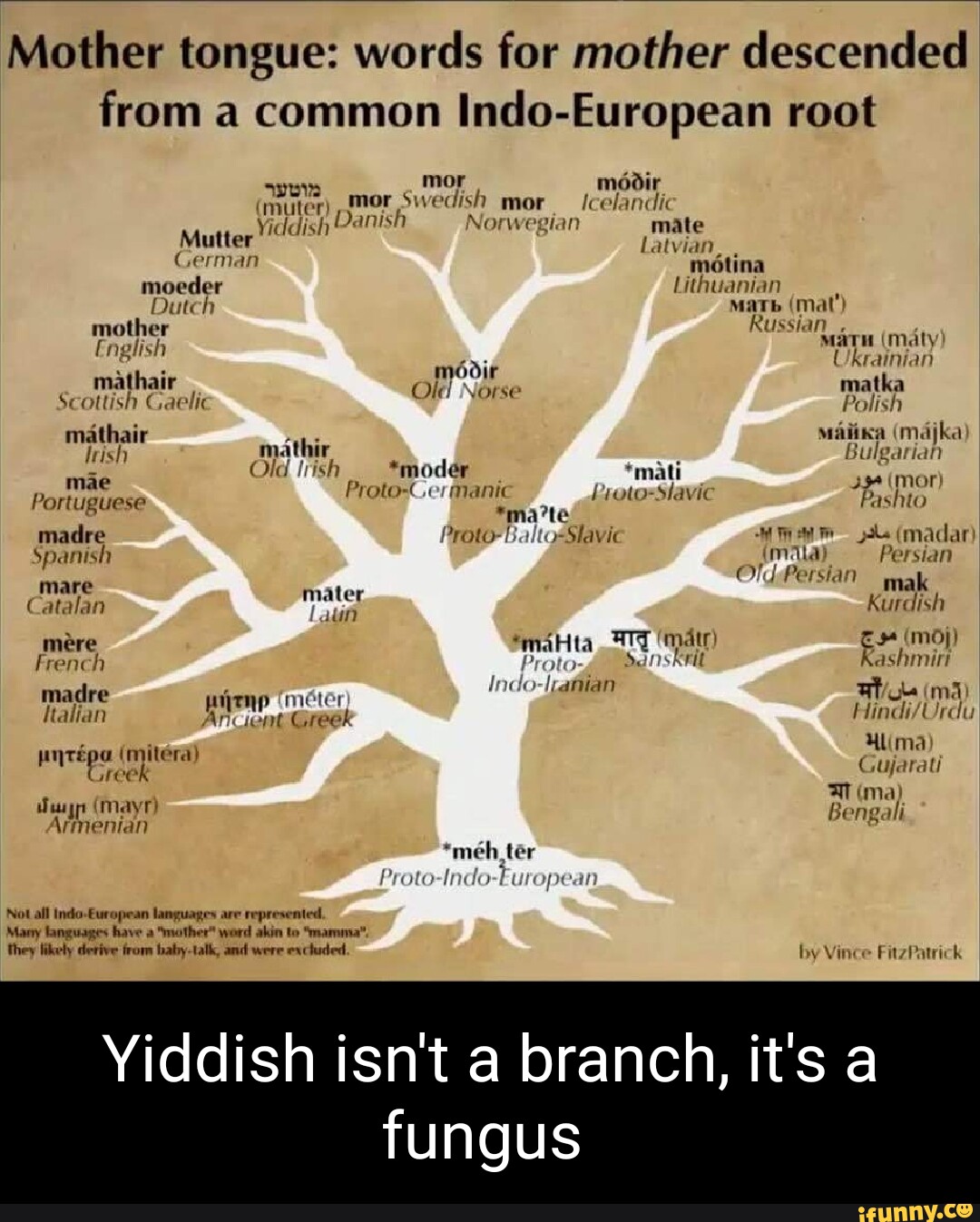 Mother Tongue Words For Mother Descended From A Common Indo European 