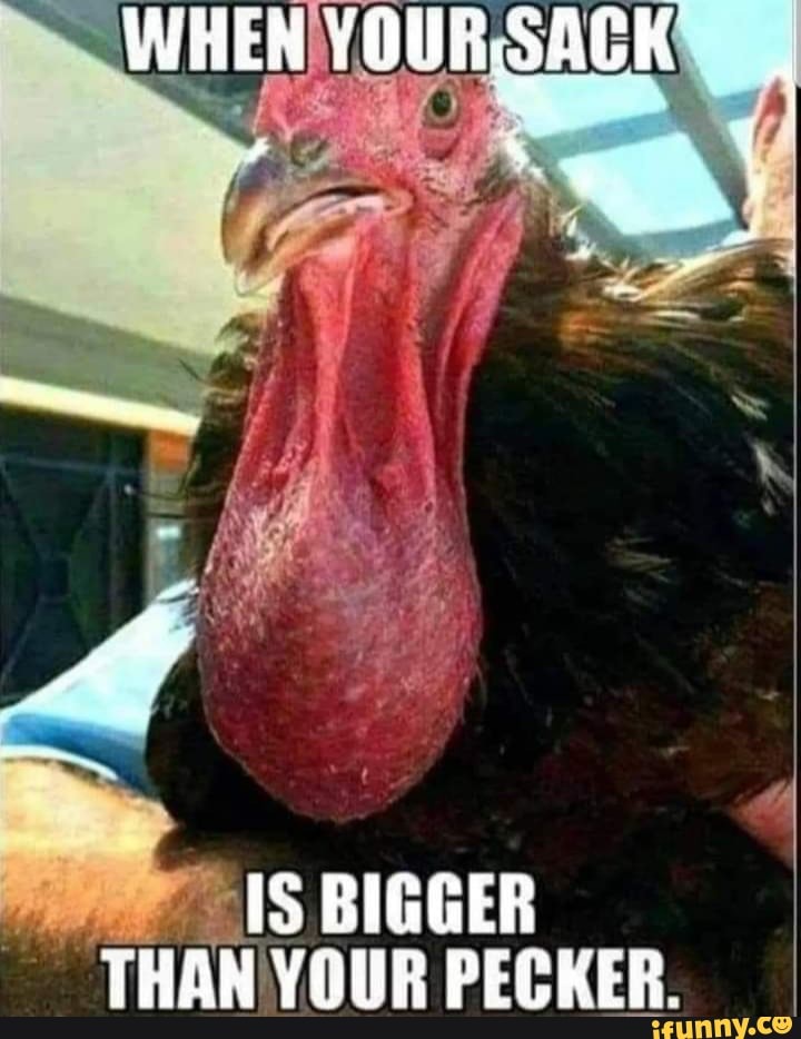 WHEN YOURSACK "IS BIGGER THAN YOUR PECKER. - iFunny
