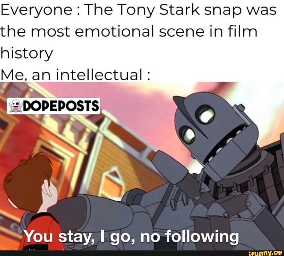 Everyone : The Tony Stark snap was the most emotional scene in film history
Me, an intellectual :
DOPEPOSTS
You stay, go, no following