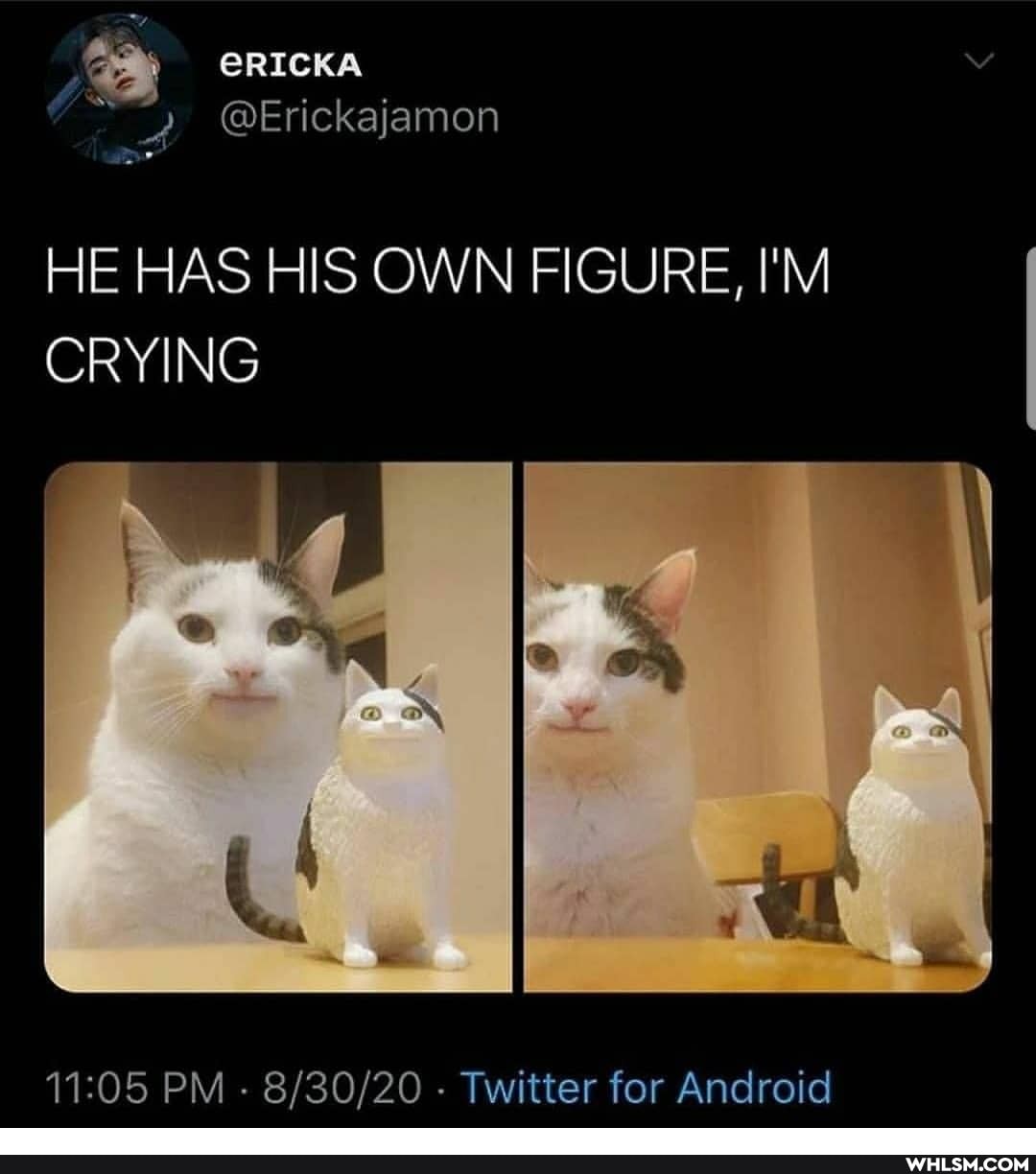 CRICKA
@Erickajamon
HE HAS HIS OWN FIGURE, I'M CRYING
PM - - Twitter for Android