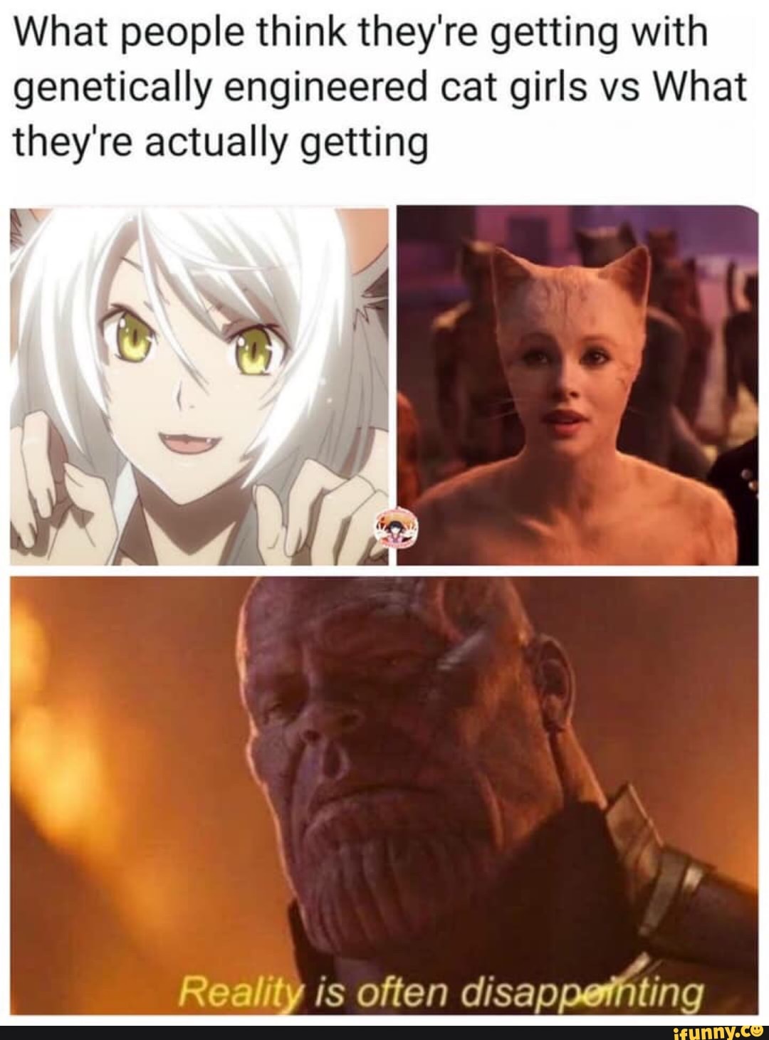 What people think they're getting with engineered cat girls